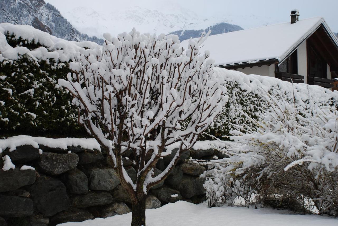 Edelweiss - Verbier, Mountain Views, Jacuzzi! Chalet
